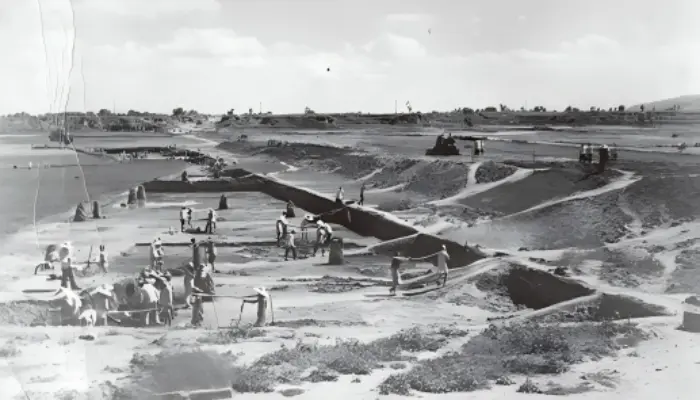 1950s